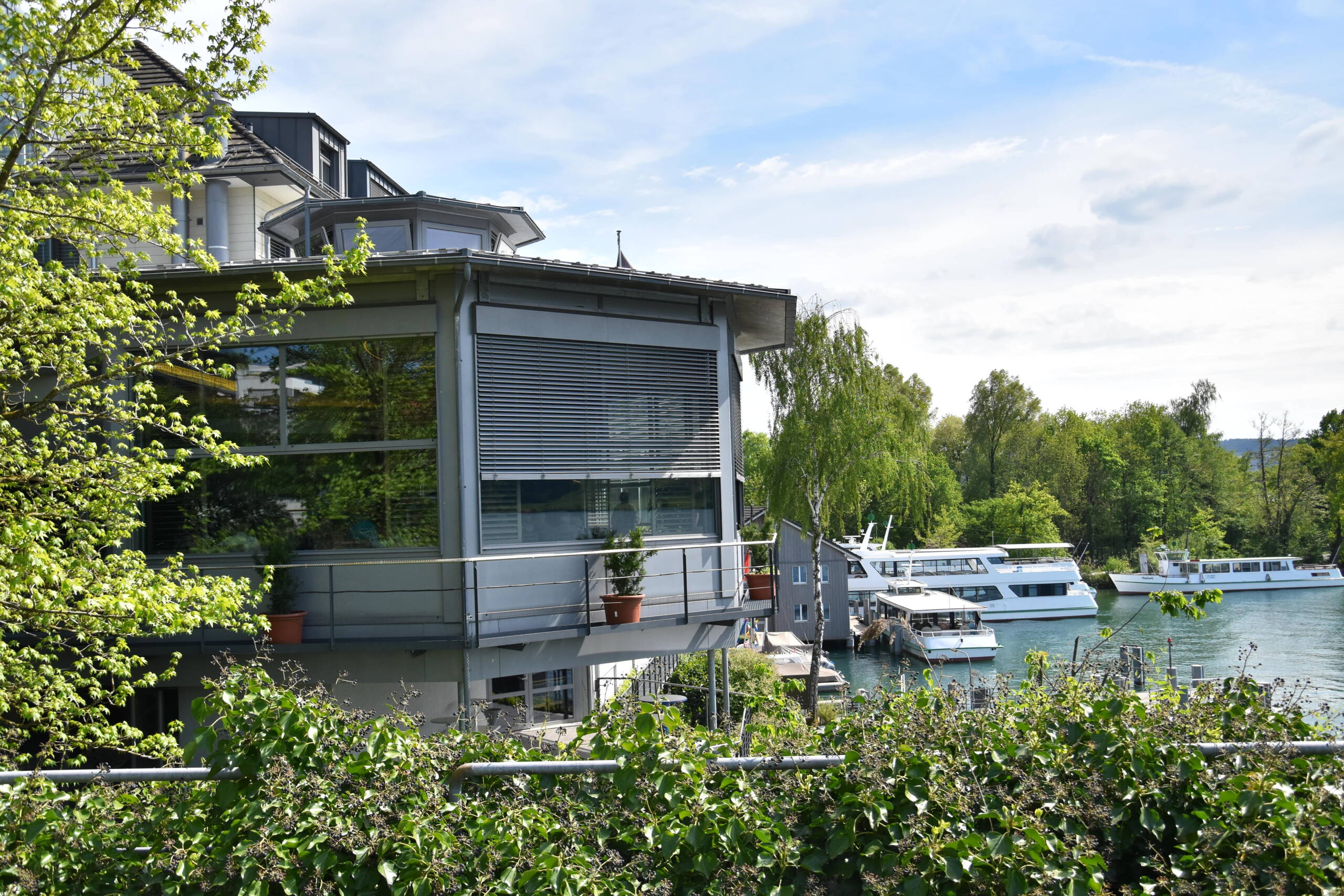 dsc_0155.jpg dsc_0155.jpg