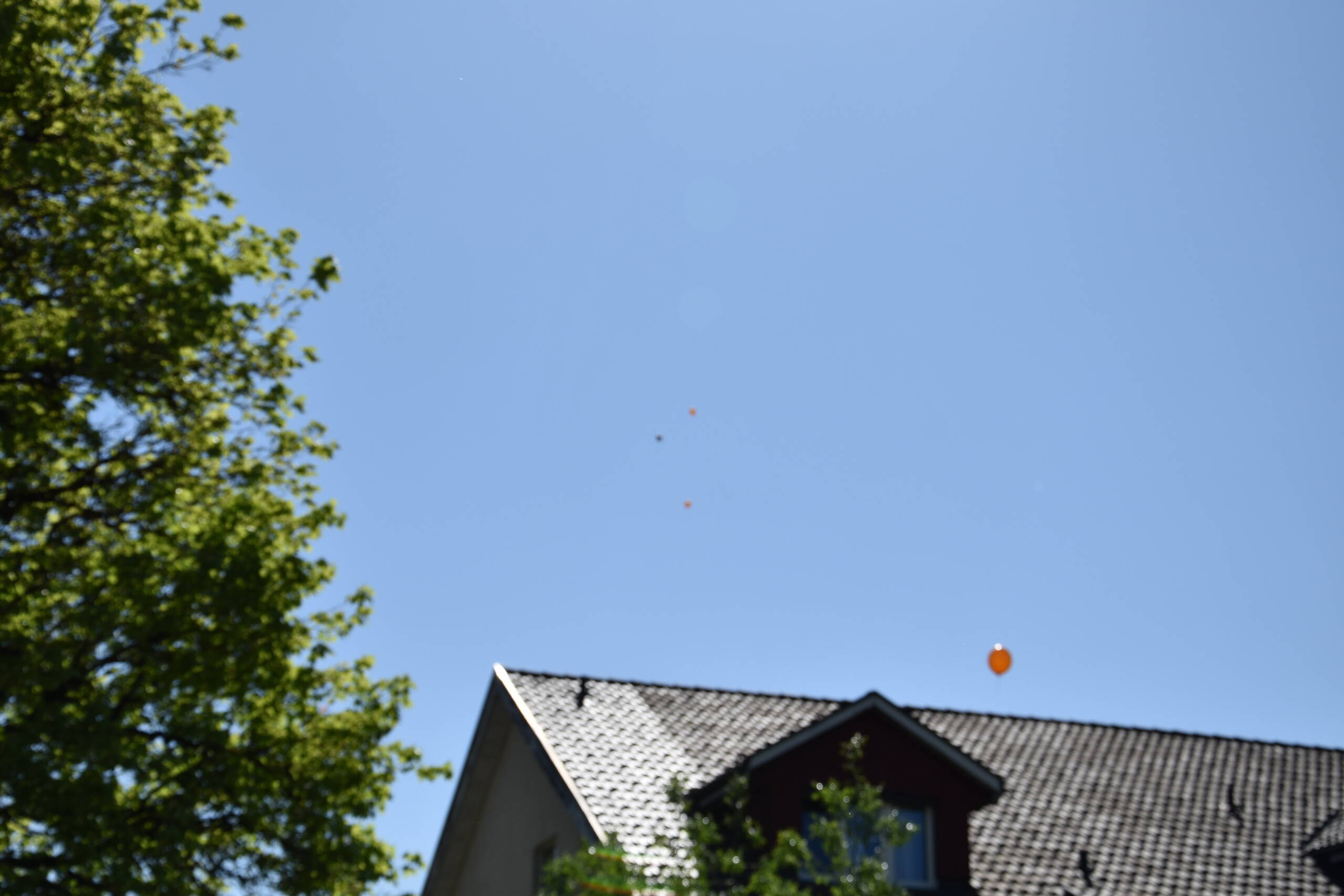dsc_0073.jpg dsc_0073.jpg